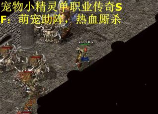 宠物小精灵单职业传奇SF：萌宠助阵，热血厮杀