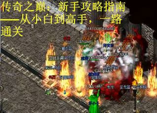 传奇之巅：新手攻略指南——从小白到高手，一路通关