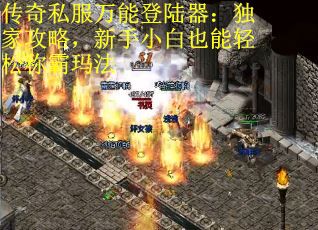 传奇私服万能登陆器：独家攻略，新手小白也能轻松称霸玛法