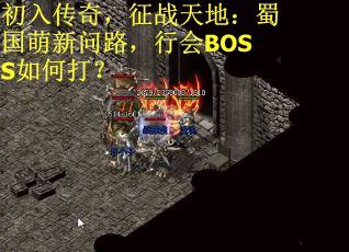 初入传奇，征战天地：蜀国萌新问路，行会BOSS如何打？
