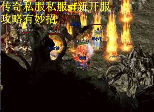 传奇私服私服sf新开服攻略有妙招