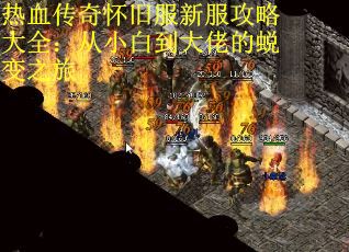 热血传奇怀旧服新服攻略大全：从小白到大佬的蜕变之旅
