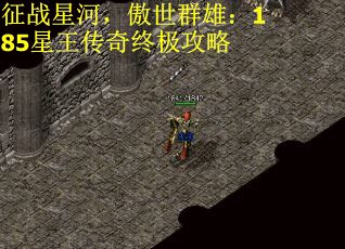 征战星河，傲世群雄：185星王传奇终极攻略