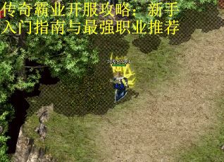 传奇霸业开服攻略：新手入门指南与最强职业推荐