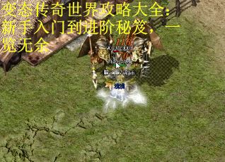 变态传奇世界攻略大全：新手入门到进阶秘笈，一览无余