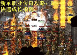 新单职业传奇攻略：新手快速成长指南