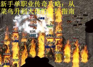 新手单职业传奇攻略：从菜鸟升到大佬的进阶指南