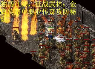 独闯江湖，征战武林：金庸传奇单职业传奇攻防秘籍