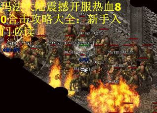 玛法大陆震撼开服热血80合击攻略大全：新手入门必读