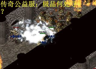 传奇公益服：极品何处寻？