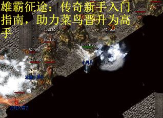 雄霸征途：传奇新手入门指南，助力菜鸟晋升为高手
