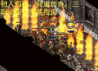初入玛法，问道传奇：三职业新手闯荡指南