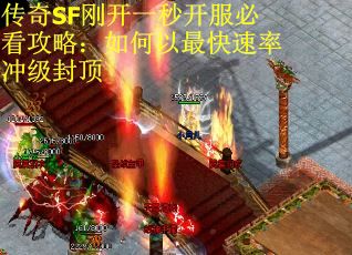 传奇SF刚开一秒开服必看攻略：如何以最快速率冲级封顶