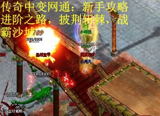 传奇中变网通：新手攻略进阶之路，披荆斩棘，战霸沙城