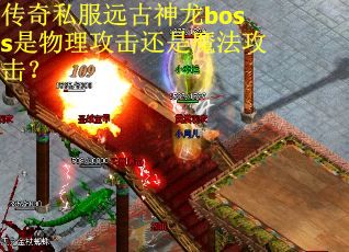 传奇私服远古神龙boss是物理攻击还是魔法攻击？