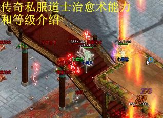 传奇私服道士治愈术能力和等级介绍