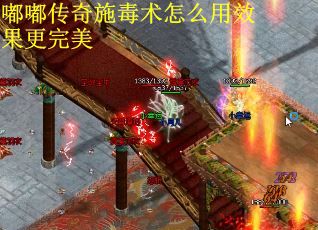 嘟嘟传奇施毒术怎么用效果更完美