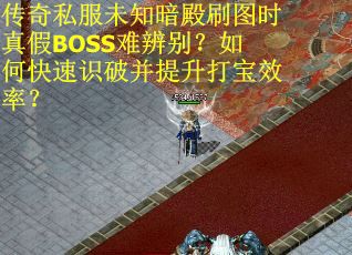 传奇私服未知暗殿刷图时真假BOSS难辨别？如何快速识破并提升打宝效率？