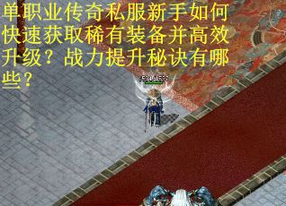 单职业传奇私服新手如何快速获取稀有装备并高效升级？战力提升秘诀有哪些？