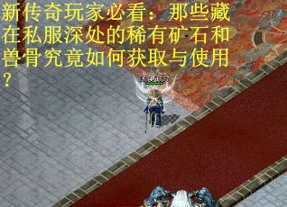 新传奇玩家必看：那些藏在私服深处的稀有矿石和兽骨究竟如何获取与使用？