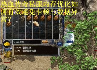 热血传奇私服内存优化如何有效避免卡顿与数据异常？
