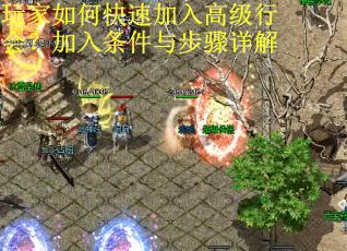 玩家如何快速加入高级行会？加入条件与步骤详解