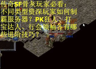 传奇SF骨灰玩家必看：不同类型资深玩家如何制霸服务器？PK狂人、打宝达人、行会领袖各有哪些进阶技巧？
