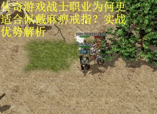 传奇游戏战士职业为何更适合佩戴麻痹戒指？实战优势解析