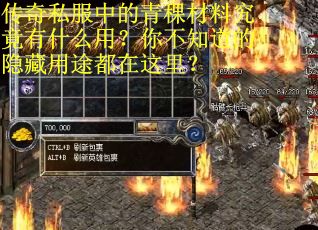 传奇私服中的青稞材料究竟有什么用？你不知道的隐藏用途都在这里？