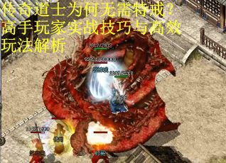 传奇道士为何无需特戒？高手玩家实战技巧与高效玩法解析