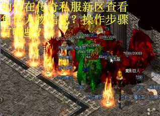 如何在传奇私服新区查看角色人物信息？操作步骤有哪些？