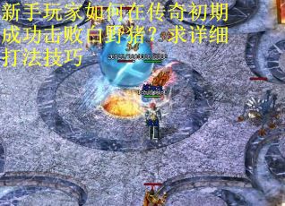 新手玩家如何在传奇初期成功击败白野猪？求详细打法技巧