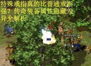 特殊戒指真的比普通戒指强？传奇装备属性隐藏差异全解析
