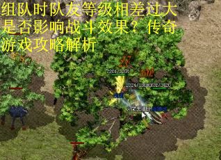 组队时队友等级相差过大是否影响战斗效果？传奇游戏攻略解析