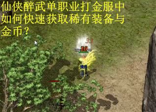 仙侠醉武单职业打金服中如何快速获取稀有装备与金币？