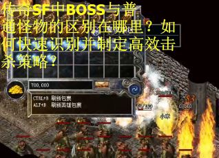 传奇SF中BOSS与普通怪物的区别在哪里？如何快速识别并制定高效击杀策略？
