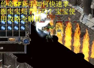 传奇SF新手如何快速掌握宝宝培养技巧？宝宝使用攻略全解析