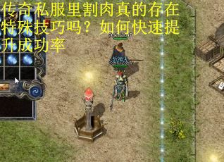 传奇私服里割肉真的存在特殊技巧吗？如何快速提升成功率