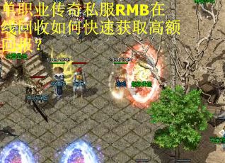 单职业传奇私服RMB在线回收如何快速获取高额回报？