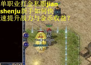 单职业打金私服jianshenju新手如何快速提升战力与金币收益？
