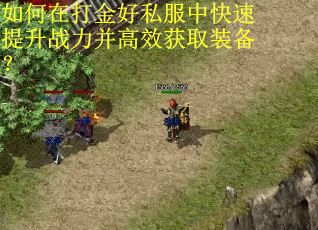 如何在打金好私服中快速提升战力并高效获取装备？