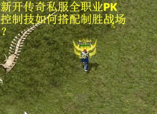 新开传奇私服全职业PK控制技如何搭配制胜战场？