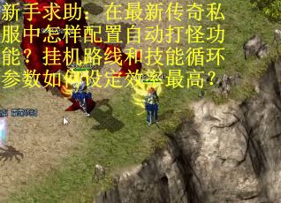 新手求助：在最新传奇私服中怎样配置自动打怪功能？挂机路线和技能循环参数如何设定效率最高？