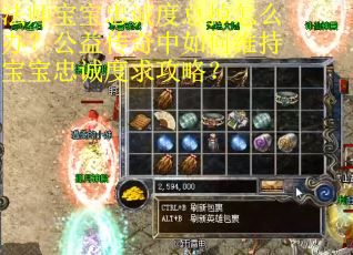 法师宝宝忠诚度总掉怎么办？公益传奇中如何维持宝宝忠诚度求攻略？