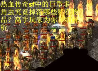 热血传奇sf中的巨型多角虫究竟掉落哪些稀有物品？高手玩家为你详细解析