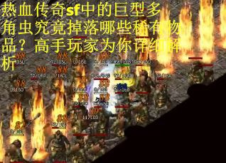 热血传奇sf中的巨型多角虫究竟掉落哪些稀有物品？高手玩家为你详细解析